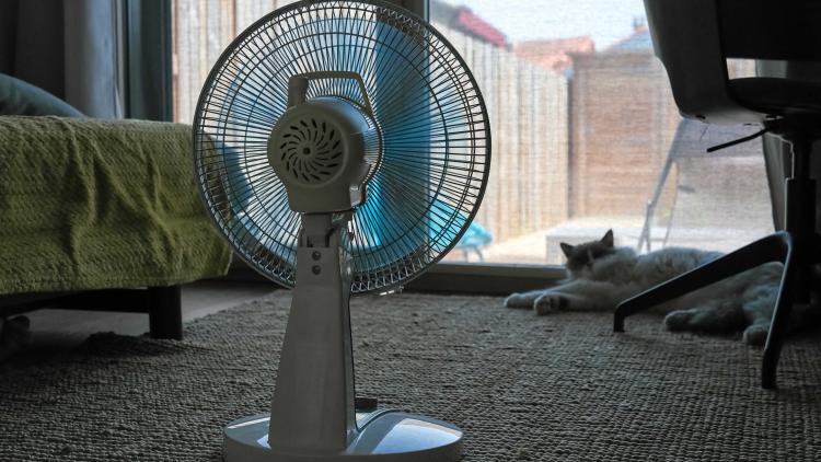 La canicule est une violence de classe !