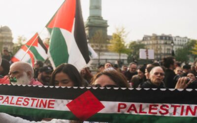 [Question écrite au Gouvernement] Respect par la France de ses engagements internationaux concernant l&rsquo;occupation illégale des territoires palestiniens